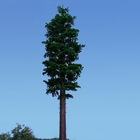 برج سلولی استتار درخت کاج 30 متری برای برقراری ارتباط