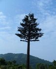 درخت برج تلفن همراه استتار شده Longlife 50 متر
