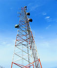 30 متر برج تلفن همراه درخت نخل جعلی آنتن GSM