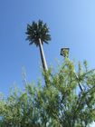 4g Base Station Palm Tree Monopole برج فولادی با برگهای استتار پوست درخت